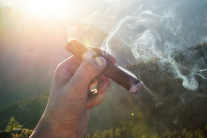 Why Cuban cigars are the best in the world? 