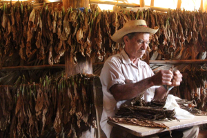 The Role of Handmade Production in Creating High-Quality Cuban Cigars