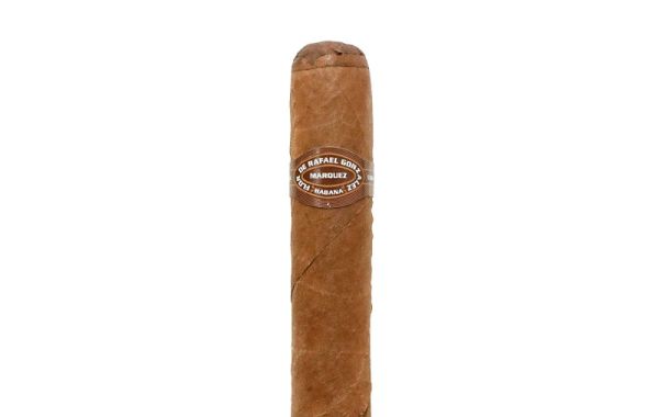 Flor De Rafael Gonzalez Coronas de Lonsdales