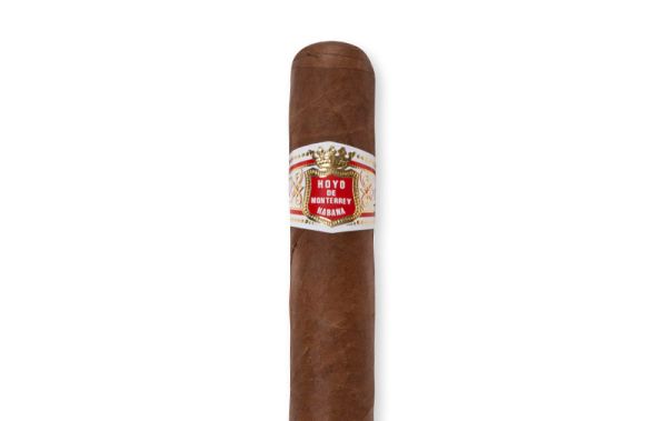 Hoyo de Monterrey Petit Robusto